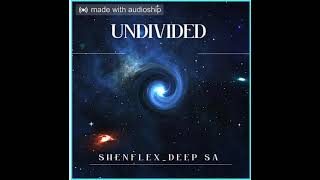 Shenflex_Deep SA-Undivided(Original mix)1