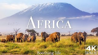 FLYING OVER AFRICA  (4K UHD) - Relaxing Music Along With Beautiful Nature Videos