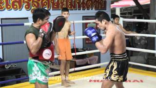 Pornsaneh Sitmonchai doing Focus mitts