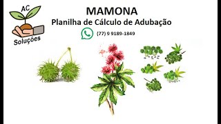 Mamona - Planilha de Cálculo de Adubação