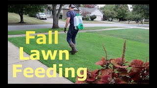 New Lawn? WATCH THIS