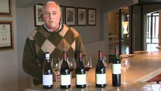 Neil Ellis - 2007 Vineyard Selection Shiraz