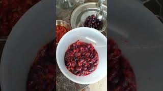 ПАСТИЛА ИЗ АЛЫЧИ И ЯБЛОК. РЕЦЕПТЫ СЮФ #пастила #десерт #сладости #вкусняшки #сухофрукты #сушимастер