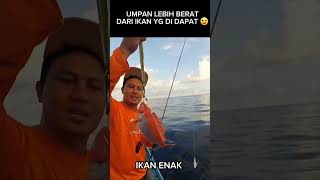 IKAN ENAK DIMAKAN MENTAH #foryou #videoviral #videoshortsviral