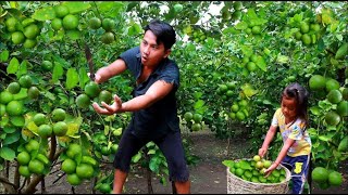 Survival in the rainforest - Man found lime for cook with three fish - Eating