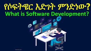 የሶፍትዌር እድገት ምንድነው? What is Software Development? Learn Computer in Amharic