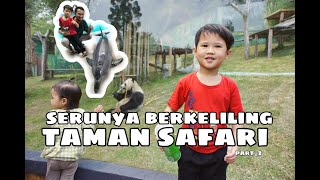 TAMAN SAFARI BOGOR PART 2 || Ada Panda juga 😍