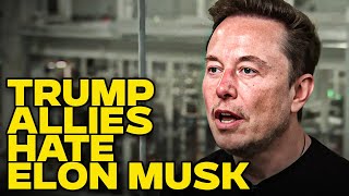 Trump Allies Have Their Knives Out For Elon Musk As Chaos Reigns