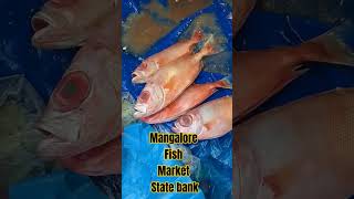 Fish #market #State Bank# Mangalore 3 October 2024