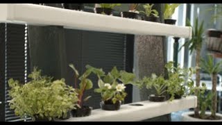 BUCO presents the New Marley Hydroponics System | Unboxing & Assembly