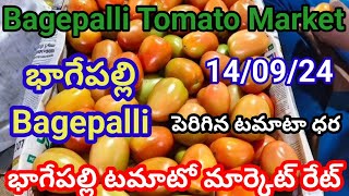 14-09-24|| todayTomato rate in Bagepalli market || Bagepalli market tamatar rate today@Psrtomatorate