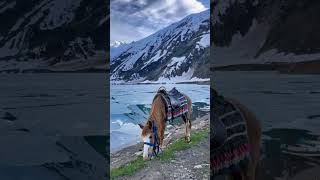 Beautiful Pakistan safulmallok lake Naran #nature #hunza #lake