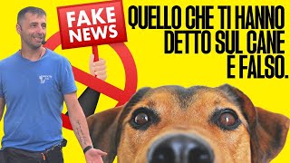 Quello che ti hanno detto sul cane è falso.