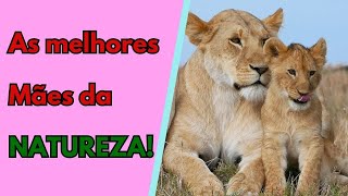 AS 14 MELHORES MÃES DO REINO ANIMAL! (ESPECIAL DIA DAS MÃES!)