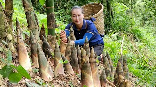 Harvest bamboo shoots - Recipe for preparing chili bamboo shoots & Long-term preservation