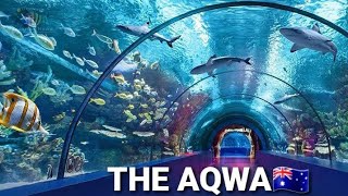 AQWA Underwater Aquarium Tour. Excellent place to visit on weekend in Perth AUSTRALIA #travelvlog