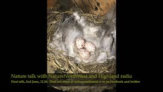 Nature talk 26.5.20