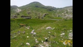 Escursione da Pian Marchisio (Roccaforte Mondovì) al rifugio Mondovì, laghi Biecai e Moie 28_06_24