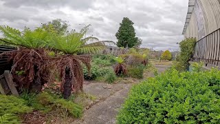 This might be the MOST OVERGROWN garden ever! Witness the Unimaginable Turnaround