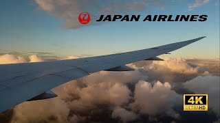 JAPAN AIRLINES B787-900 JL51 - NEW YEARS EVE AT 40,000ft - Tokyo (Haneda) to Sydney (4K)