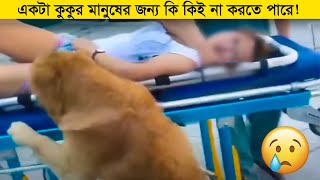 ভিডিওটি দেখে বিশ্বাস হয়ে যাবে যে মনুষ্যত্ব এখনো বেচে আছে !  Restoring faith in humanity