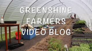 Episode 9: Trellising Tomatoes in a Greenhouse