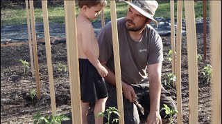 Sorrow & Joy on the Homestead