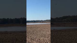 Got some teal and pintail hanging out while we’re pumping water!!