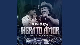 Ingrato Amor (En Vivo Desde El Domo Care)