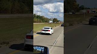 Mustang Gt passing by 🐎.