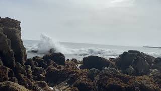 Corona Del Mar tide pools