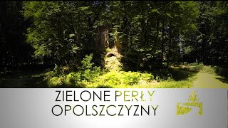 Zielone Perły Opolszczyzny - Pokój z Widokiem