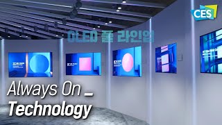 OLED 풀 라인업 대공개! 초대형 97인치 OLED부터 초소형 0.42인치 OLEDoS까지 이 모든게 한자리에