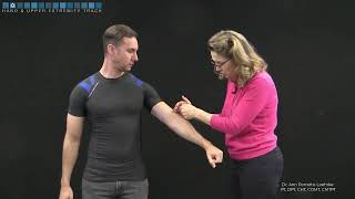 Elbow - Wolff test in standing