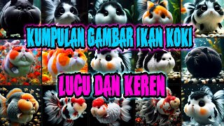 KOLEKSI GAMBAR IKAN KOKI YANG LUCU DAN KEREN ‼️ PASTI KALIAN INGIN MEMILIKINYA ‼️