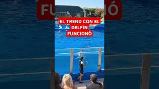 El Trend con el DELFIN funcionó #trend #delfin #dolphin #music  #musica #humor #meme #memes #dj