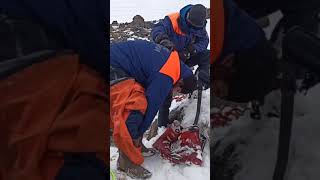 Snowboarder fell into the gorge and died!