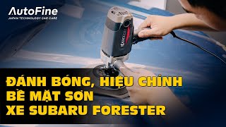 Đánh Bóng, Hiệu Chỉnh Bề Mặt Sơn Cho Xe Subaru Forester | AutoFine Vietnam