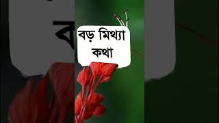 পৃথিবীর সবচেয়ে বড়ো মিথ্যা কথা |koster kotha |koster status |@hearttouchingsuro640