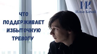 Что поддерживает избыточную тревогу / Илья Качай