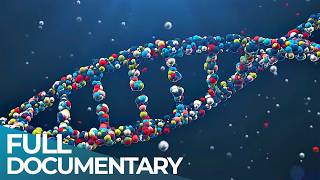 CRISPR: The Rise of Genetic Engineering | Forging the Future | FD Finance