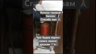 Кашам быть 🥣🐕🐈 Купили газовый баллон #приют #спасибоподписчикам #дом