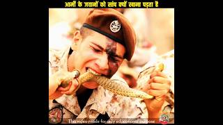 आर्मी के जवानो को सांप क्यों खाना पड़ता है 😲#shorts #viral #short #shortsvideo #army #facts