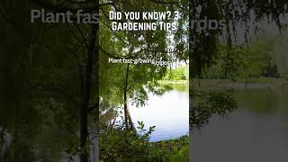 3 Facts About Gardens Part 20