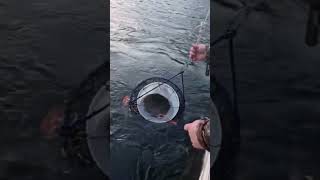 Check out the full video for some awesome crabbing in northern British Columbia!