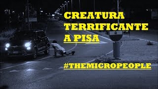 CREATURA TERRIFICANTE A PISA #THEMICROPEOPLE