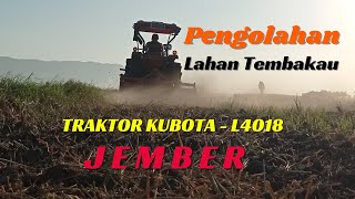 Proses Olah Lahan Tembakau Jember - Jawa Timur ‼️🚜 [ Traktor kubota L4018 ]