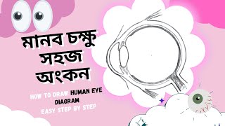 মানব চক্ষু সহজ অংকন ||  Human Eye Easy Diagram