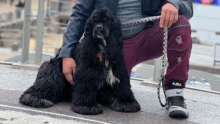 Bruno y la familia