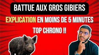 Une matinée avec les chasseurs aux GROS gibiers : Découverte d'une battue au sanglier